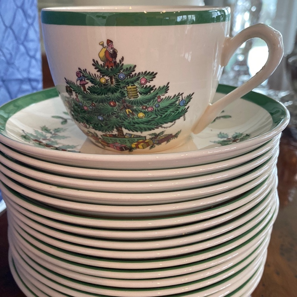 17 Spode cups and saucers in pristine condition including zippered cases
